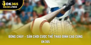 Bóng chày – Sân chơi cược thể thao đỉnh cao cùng OK365