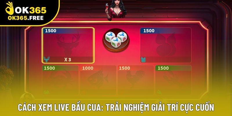 Cách Xem Live Bầu Cua: Trải Nghiệm Giải Trí Cực Cuốn