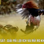 Đá Gà Cựa Sắt: Giải Mã Lợi Ích Và Rủi Ro Khi Tham Gia