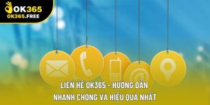 Liên Hệ OK365 - Hướng Dẫn Nhanh Chóng Và Hiệu Quả Nhất
